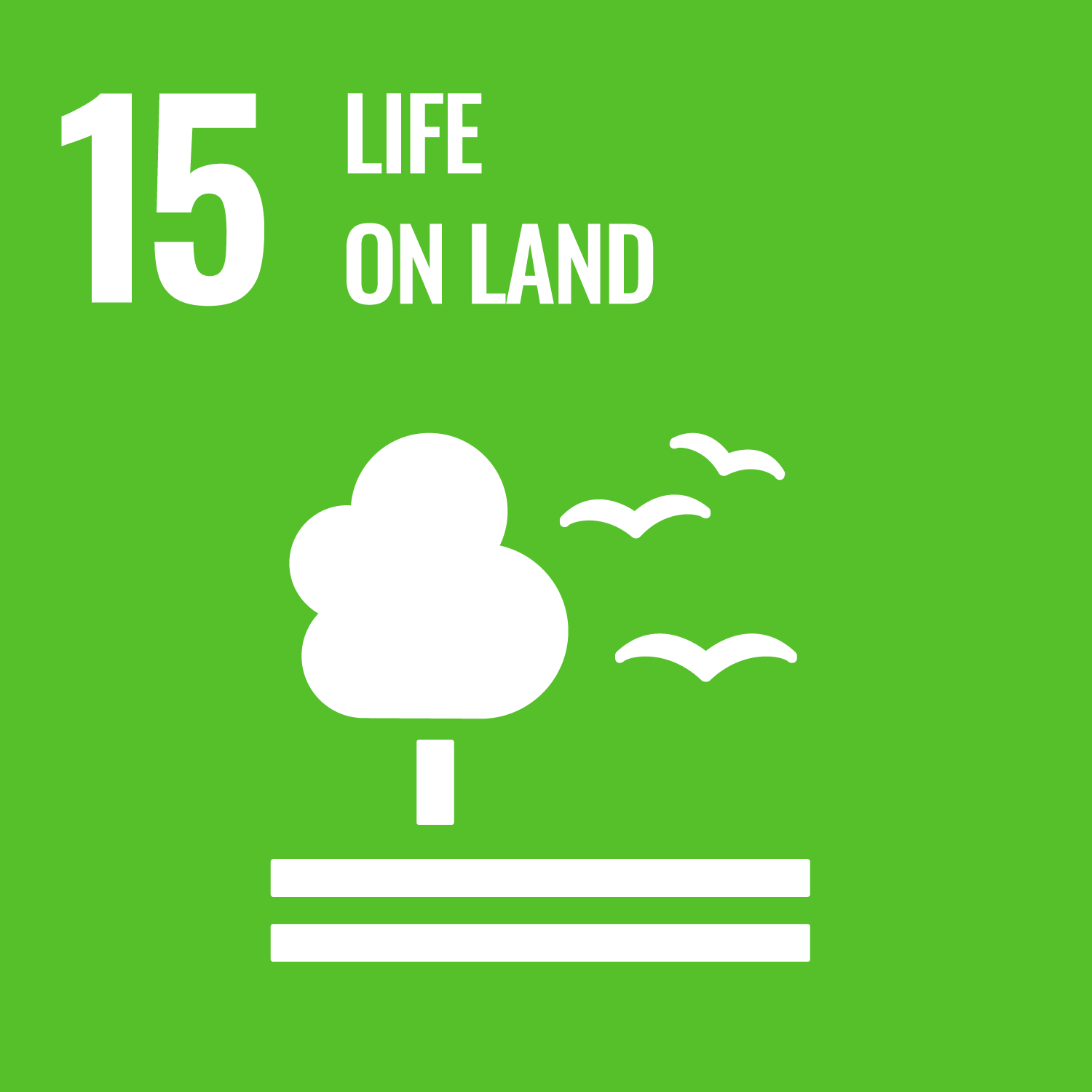 SDG number 15 Life on land