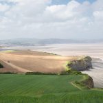 Image description coming soon