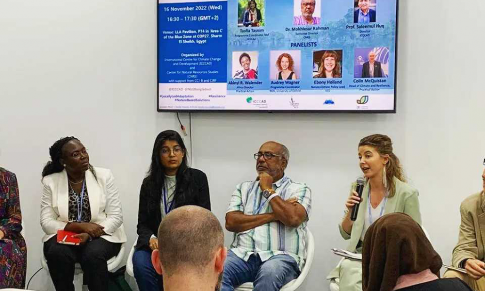 Audrey Wagner speaking about NbS, participation and community resilience at COP27