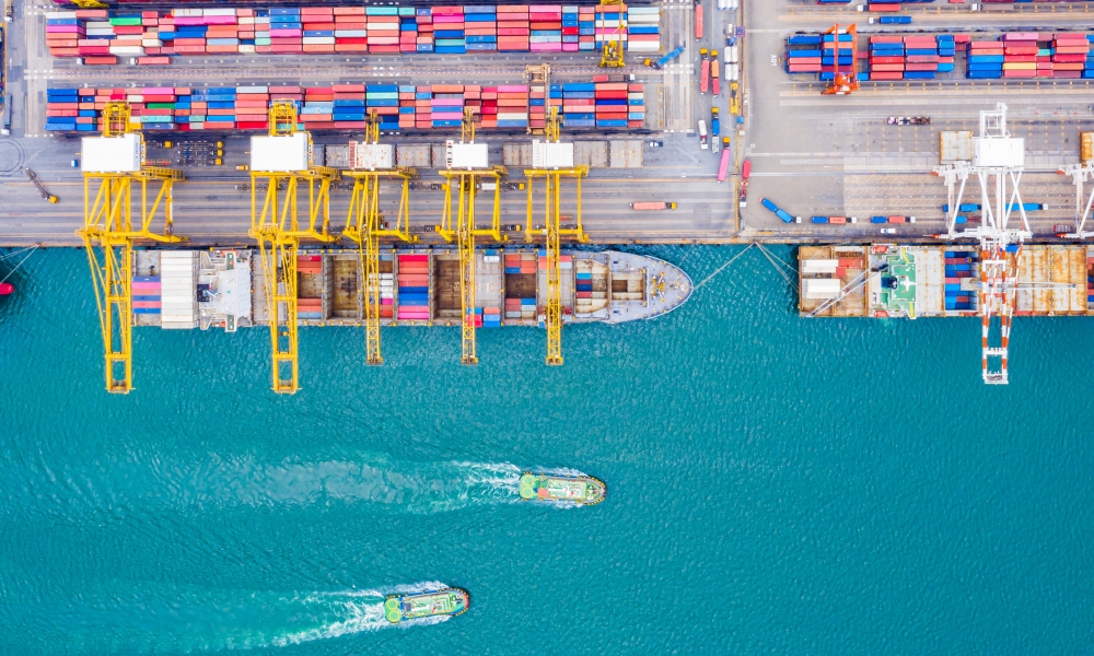 Image description coming soon