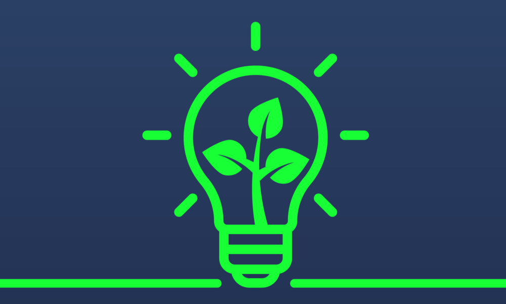 Image description coming soon