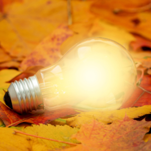 Image description coming soon