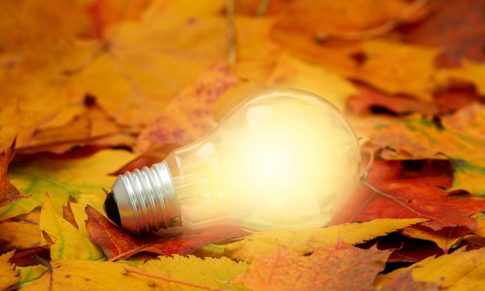 Image description coming soon