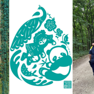 Image description coming soon