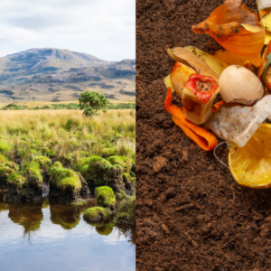 Image description coming soon