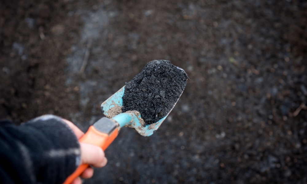 Close-up of biochar on a shovel, illustrating sustainable permaculture soil enhancement (from Adobe Stock)