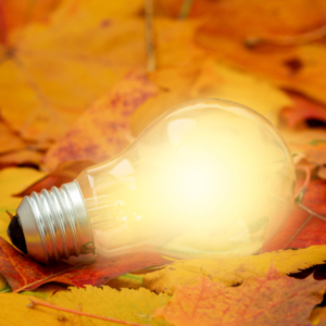 Image description coming soon