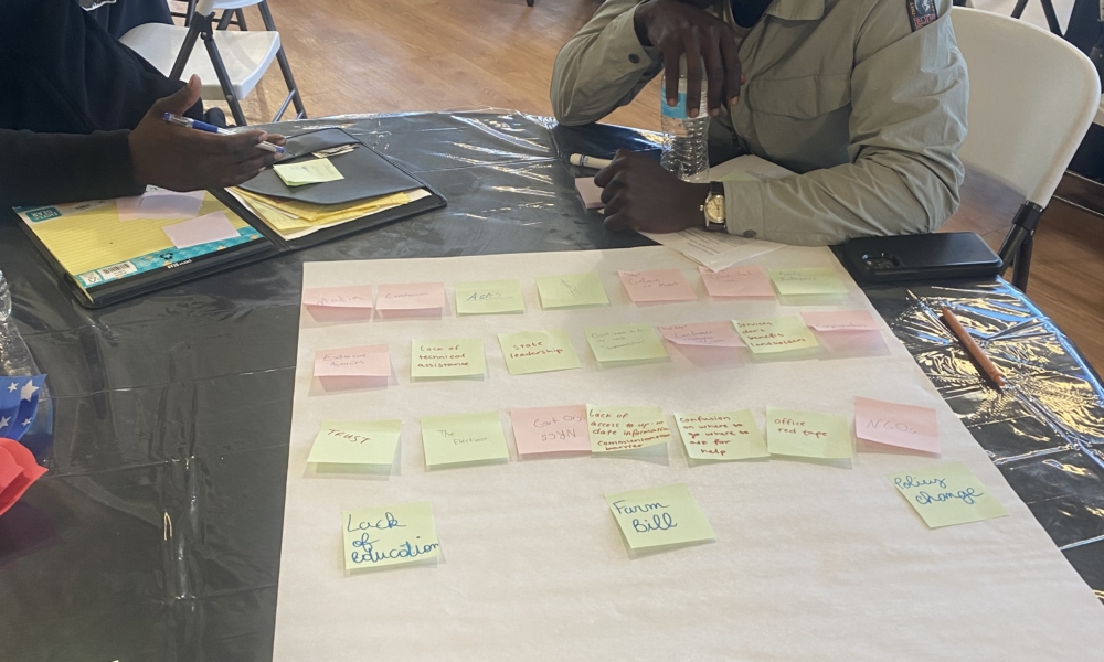 Image description coming soon