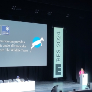 Xiao Zhang at BES 2024