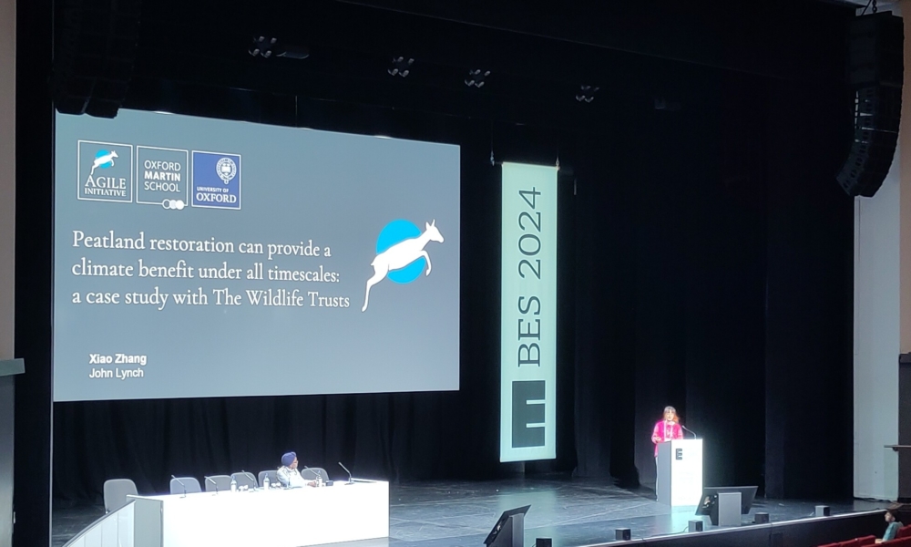 Xiao Zhang at BES 2024