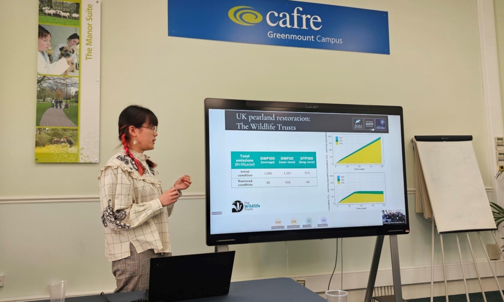 Researcher Xiao Zhang presenting.