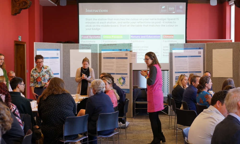 Image description coming soon