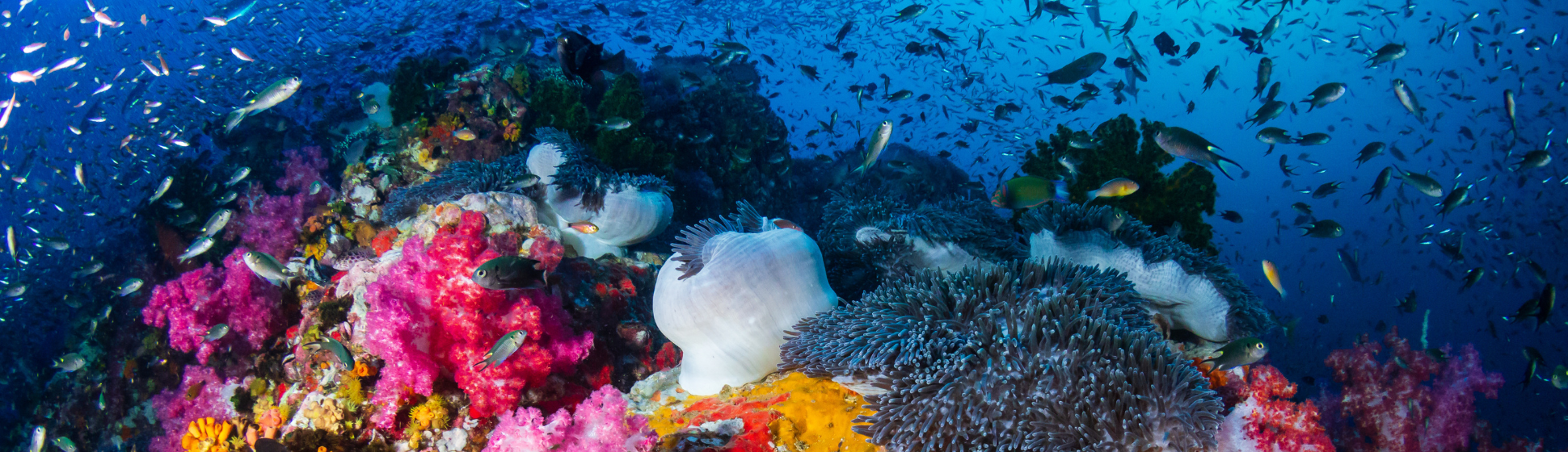 Equality Impact Assessment Template