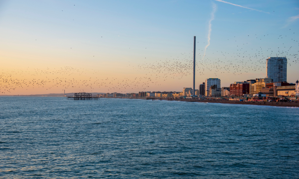 The Starlings over Brighton Seafront