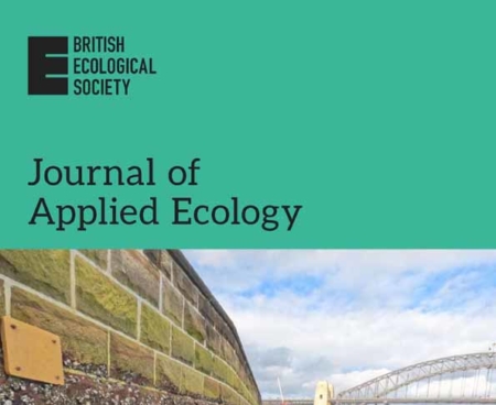 A globally influential area-condition metric is a poor proxy for invertebrate biodiversity