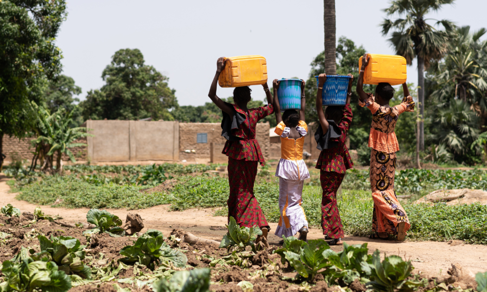 Group of young black West African girls carrying heavy water containers on their head