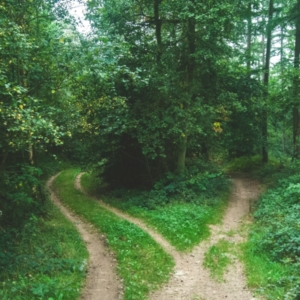 Image description coming soon