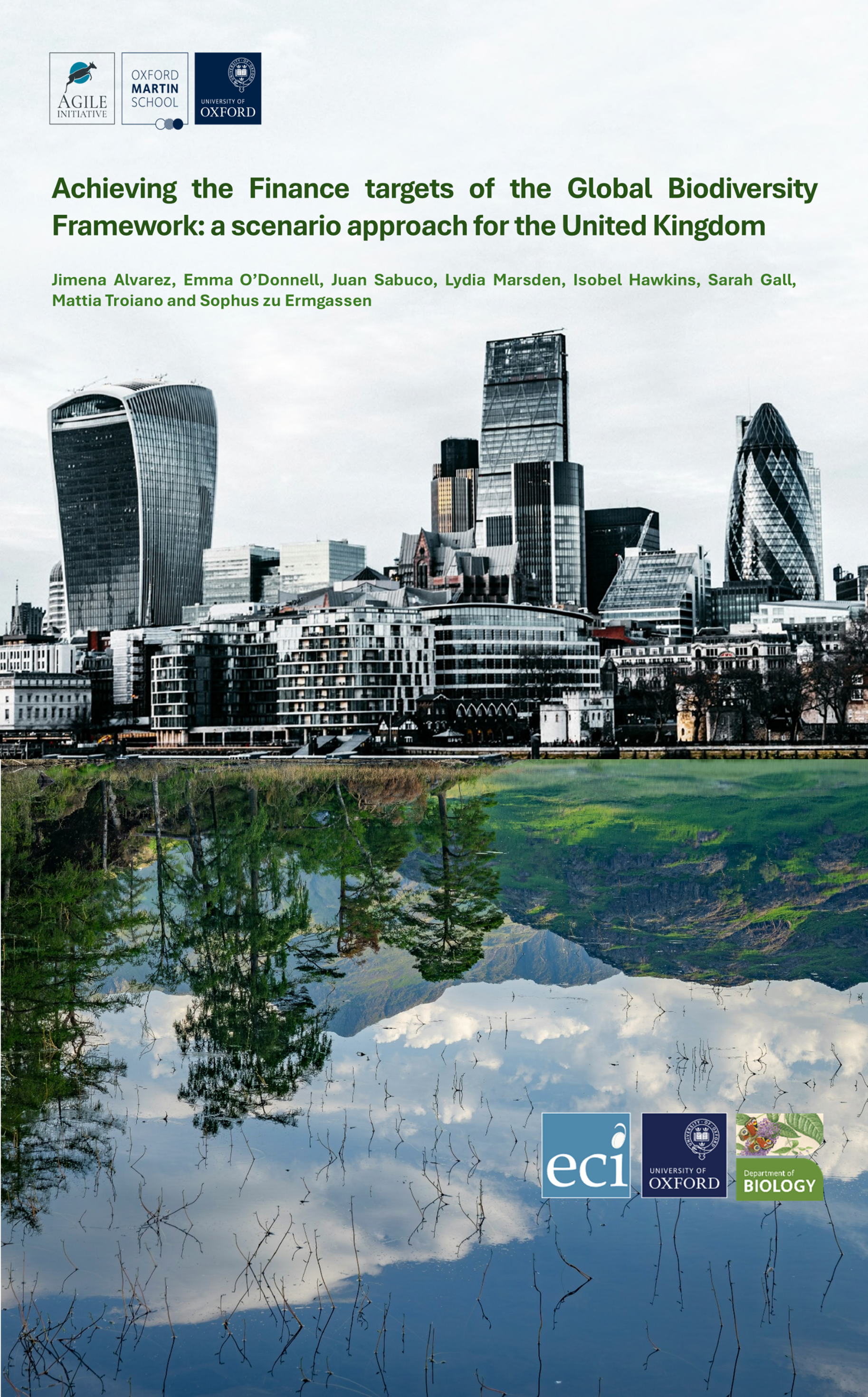 Achieving the Finance targets of the Global Biodiversity Framework: a scenario approach for the United Kingdom